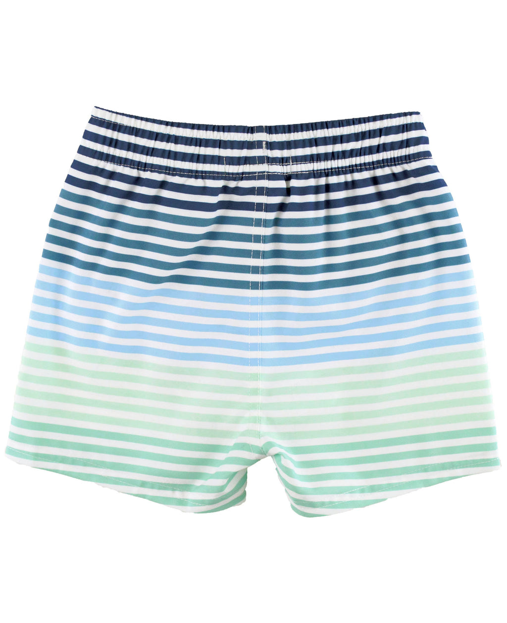 Boys Coastal Stripe Swim Trunks