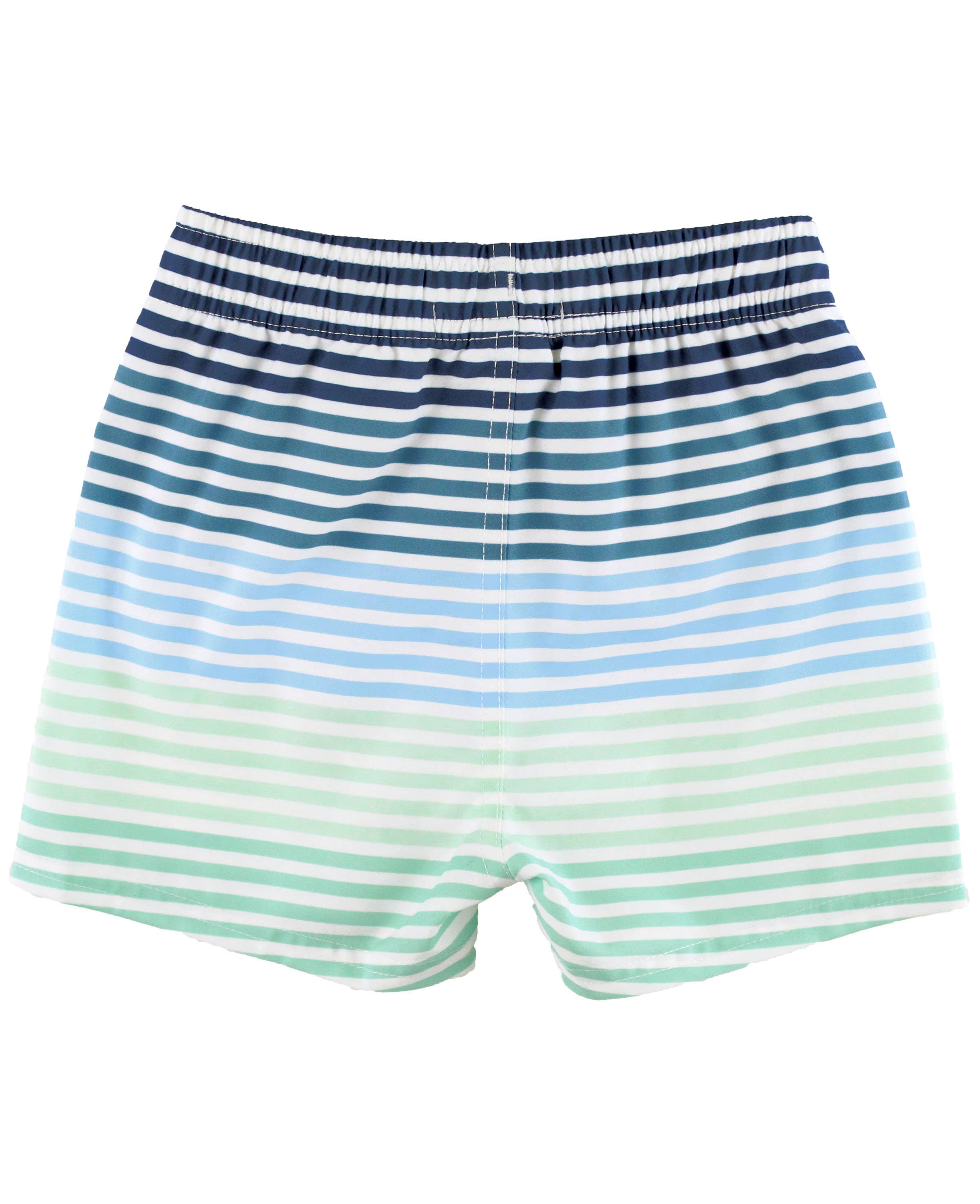 Boys Coastal Stripe Swim Trunks