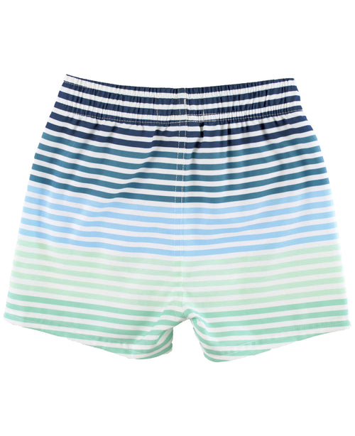 Boys Coastal Stripe Swim Trunks